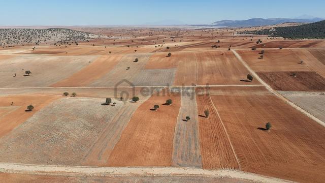 Konya / Akören / Alan Mahallesinde 4.022 M² Müstakil Tarla 3