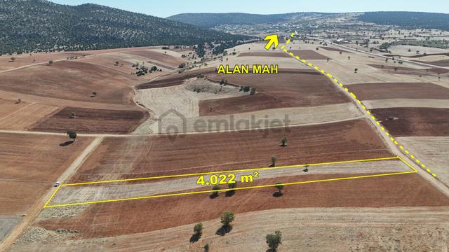 Konya / Akören / Alan Mahallesinde 4.022 M² Müstakil Tarla 5