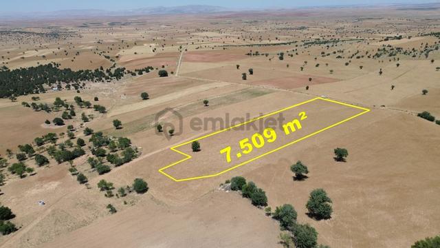 Konya / Akören / Alan Mahallesinde 7.509 M² Müstakil Tapulu Tarla 1
