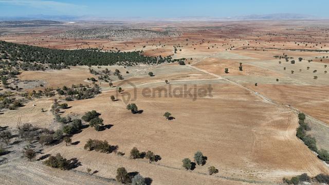 Konya / Akören / Alan Mahallesinde 7.509 M² Müstakil Tapulu Tarla 5