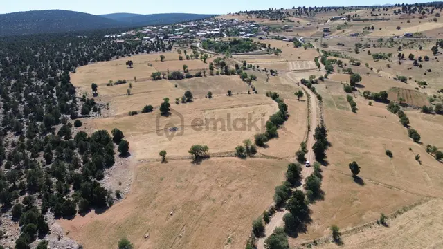 Konya / Akören / Belkuyu Mahallesinde 1.612 M² Müstakil Tapulu Tarla 4