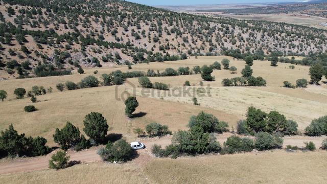 Konya / Akören / Belkuyu Mahallesinde 1.612 M² Müstakil Tapulu Tarla 2