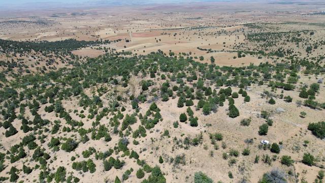 Konya / Akören / Alan Mahallesinde 2.755 M² Müstakil Tapulu Tarla 4