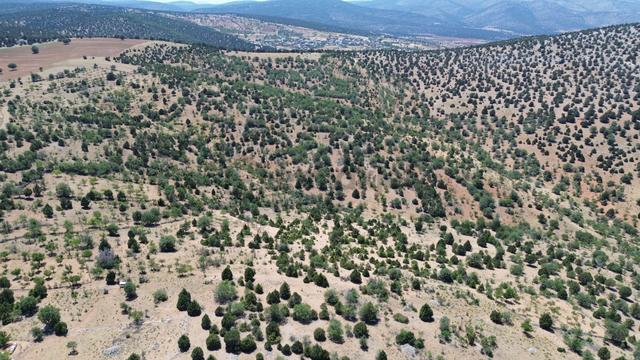 Konya / Akören / Alan Mahallesinde 2.755 M² Müstakil Tapulu Tarla 3
