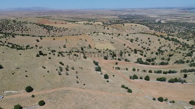 Konya / Akören / Belkuyu Mahallesinde 4.085 M² Müstakil Tapulu Tarla 2