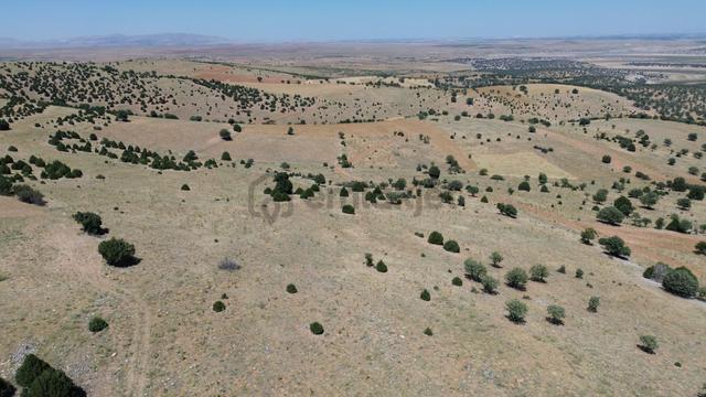 Konya / Akören / Belkuyu Mahallesinde 4.085 M² Müstakil Tapulu Tarla 4