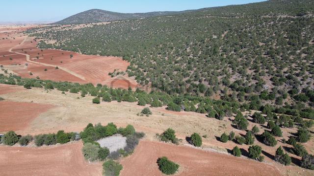 Akören Alanda 5.348 M² Orman İçersinde Müstakil Tapulu Tarla 2