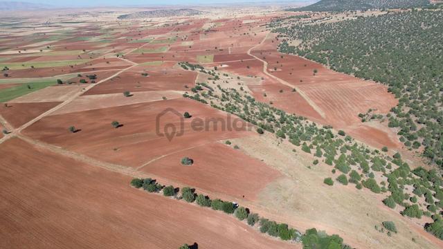 Akören Alanda 5.348 M² Orman İçersinde Müstakil Tapulu Tarla 3