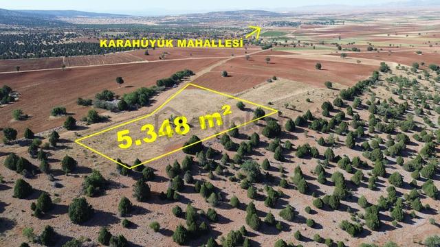 Akören Alanda 5.348 M² Orman İçersinde Müstakil Tapulu Tarla 5