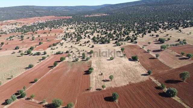 Akören / Karahüyük De Doğa Güzelliğinin Ortasında 3.808 M² Tarla 3