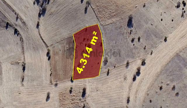 Konya / Akören / Belkuyu Mahallesinde 4.314 M² Müstakil Tapulu Tarla 2