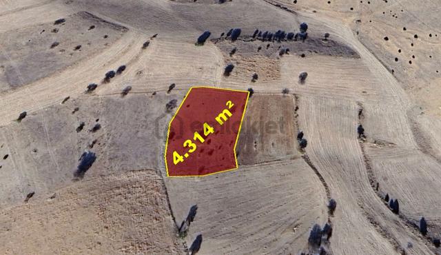 Konya / Akören / Belkuyu Mahallesinde 4.314 M² Müstakil Tapulu Tarla 3