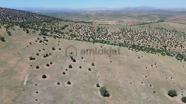 Konya / Akören / Belkuyu 4.949 M² Hesaplı Satılık Tarla 4
