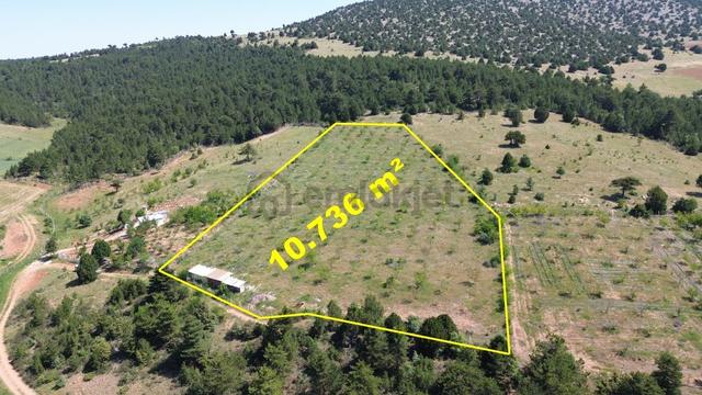 Konya / Ilgın / Gökçeyurt-özlem Mahallesinde 10.736 M² Müstakil Tapulu Tarla 1