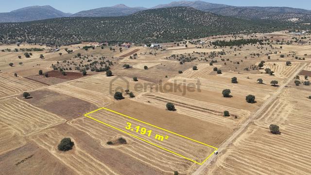 Konya / Akören / Tülce Mahallesinde 3.191 M² Müstakil Tapulu Tarla 1