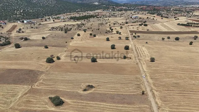 Konya / Akören / Tülce Mahallesinde 3.191 M² Müstakil Tapulu Tarla 4