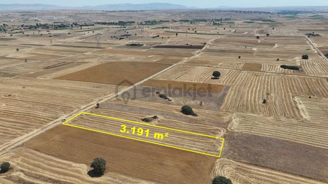 Konya / Akören / Tülce Mahallesinde 3.191 M² Müstakil Tapulu Tarla 3