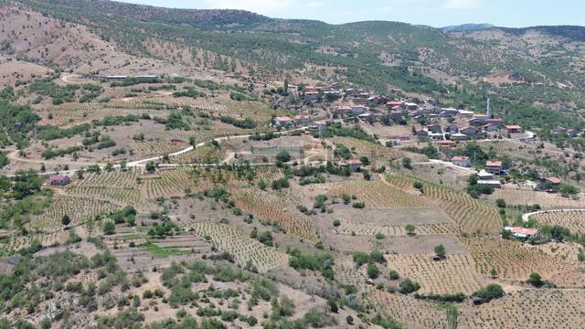 Konya / Hadim / Göynükkışla Mahallesinde 325 M² Müstakil Tapulu Bahçe 5