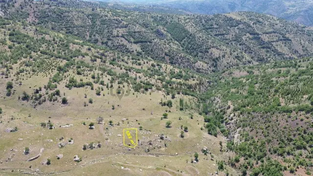Konya / Hadim / Küplüce Mahalleisinde 582 M² Müstakil Tapulu Tarla 5