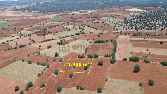 Konya / Akören / Karahüyük Mahallesinde 1.488 M² Müstakil Tapulu Tarla 4