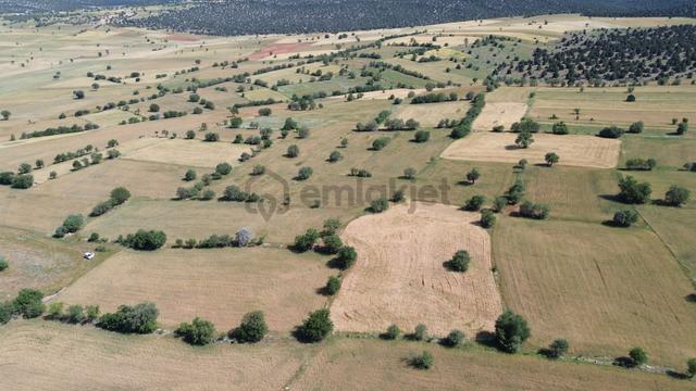 Konya / Akören / Karahüyük Mahallesinde 1.488 M² Müstakil Tapulu Tarla 5