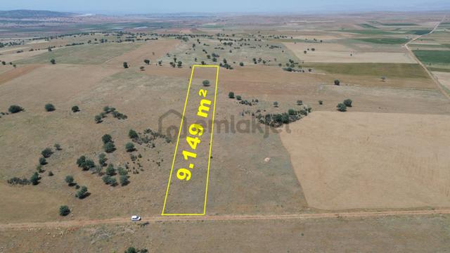 Konya / Akören / Karahüyük Mahallesinde 9.149 M² Müstakil Tapulu Tarla 1