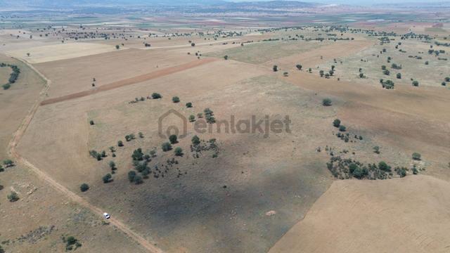 Konya / Akören / Karahüyük Mahallesinde 9.149 M² Müstakil Tapulu Tarla 4