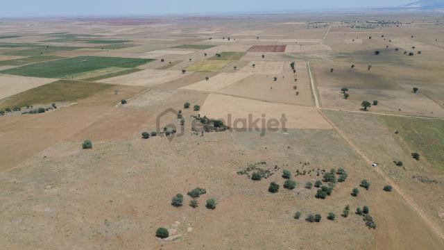 Konya / Akören / Karahüyük Mahallesinde 9.149 M² Müstakil Tapulu Tarla 3