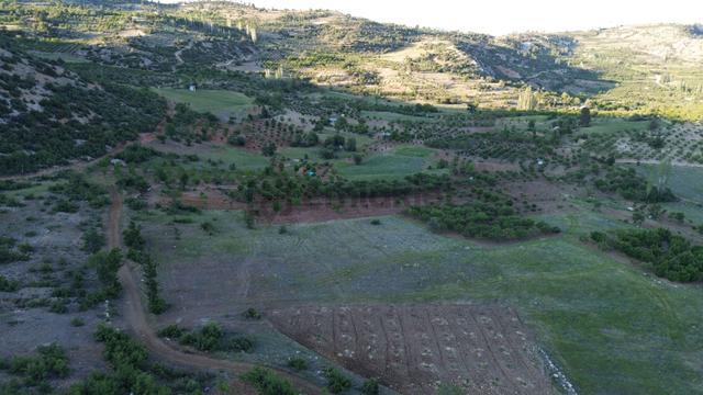 Karaman / Ermenek / Boyalık Mahallesinde 448 M² Müstakil Tapulu Tarla 2