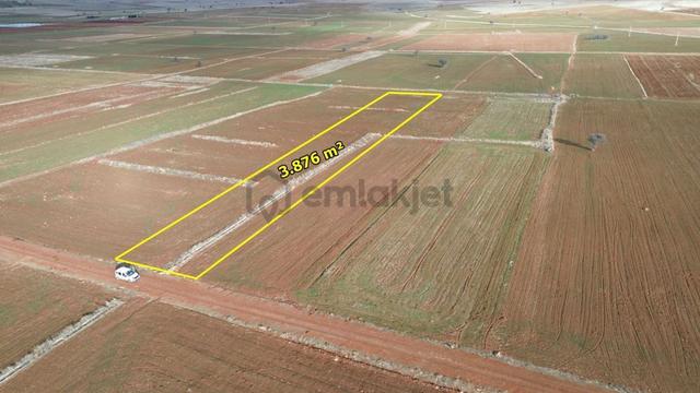 Akören Hacılar Da 3.876 M2 Müstakil Tapulu Arazi 2