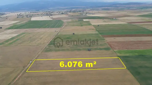 Konya / Çumra / Apasaraycık Mahallesinde 6.076 M² Müstakil Tapulu Tarla 5