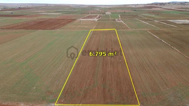 Akören Hacılar Da 6.795 M2 Müstakil Tapulu Arazi 2