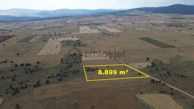 Konya / Çumra / Apasaraycık Mahallesinde 8.899 M² Müstakil Tapulu Tarla 2