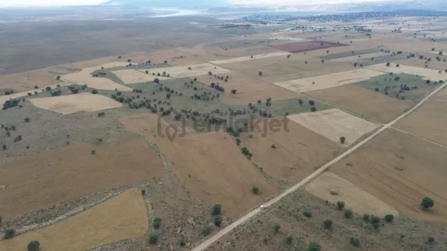 Konya / Çumra / Apasaraycık Mahallesinde 8.899 M² Müstakil Tapulu Tarla 4