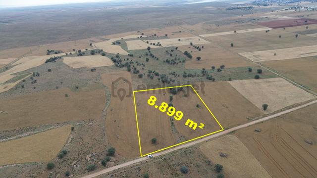 Konya / Çumra / Apasaraycık Mahallesinde 8.899 M² Müstakil Tapulu Tarla 1