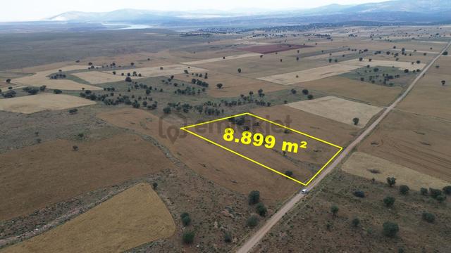 Konya / Çumra / Apasaraycık Mahallesinde 8.899 M² Müstakil Tapulu Tarla 3