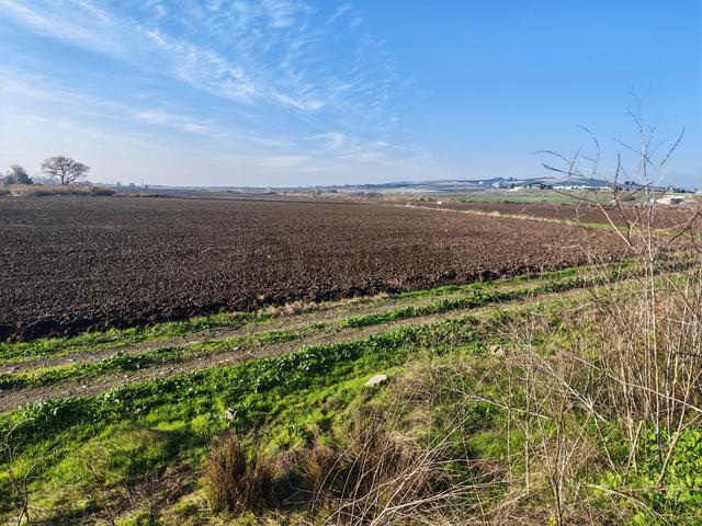 721 M2 Sulu Tarım Çeltik Tarlası, Hobi Bahçesi, Meyve, Bağ-bahçe 5