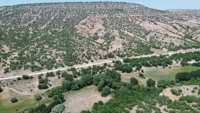 Konya / Meram / Güneydere Mahallesinde 4.300 M² Müstakil Tapulu Tarla 3