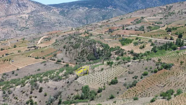 Konya / Hadim / Göynükkışla Mahallesinde 325 M² Müstakil Tapulu Bahçe 2
