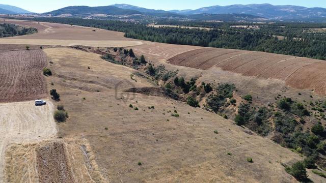 Konya / Doğanhisar / Atatürk Mahallesinde 2.683 M² Müstakil Tapulu Tarla 5