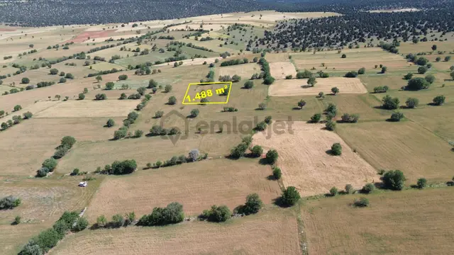 Konya / Akören / Karahüyük Mahallesinde 1.488 M² Müstakil Tapulu Tarla 2