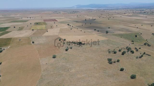 Konya / Akören / Karahüyük Mahallesinde 9.149 M² Müstakil Tapulu Tarla 4