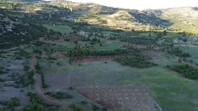 Karaman / Ermenek / Boyalık Mahallesinde 448 M² Müstakil Tapulu Tarla 2