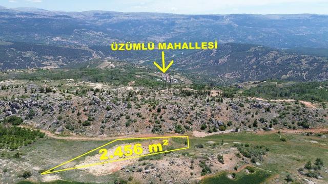 Karaman / Başyayla / Üzümlü Mahallesinde 2.456 M² Müstakil Tapulu Tarla 1