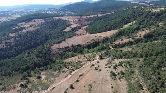 Konya / Doğanhisar / Kemer Mahallesinde 3.902 M² Müstakil Tapulu Tarla 2