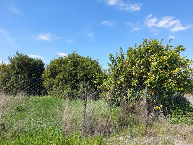 Ortaca Marmarlı’da Dağ Ve Doğa Manzaralı 1.500 M² Müstakil Arsa Satılık 1