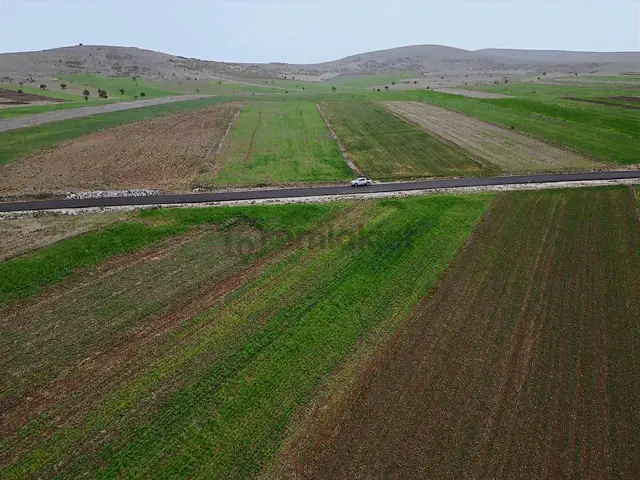 Burdur_yeşilova_kavak_asfalta_yakın_kadastro_mevcut 1