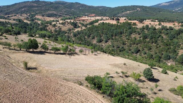 Konya / Doğanhisar / Kemer Mahallesinde 3.902 M² Müstakil Tapulu Tarla 4