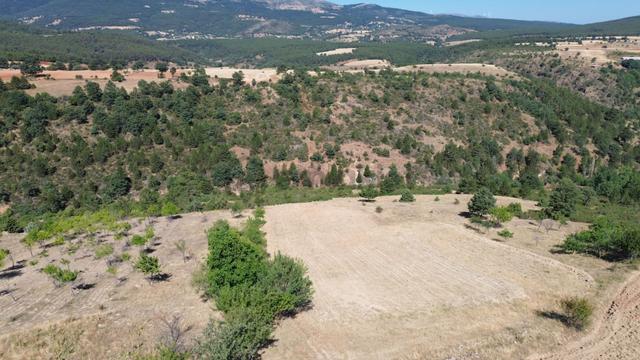 Konya / Doğanhisar / Kemer Mahallesinde 3.902 M² Müstakil Tapulu Tarla 5