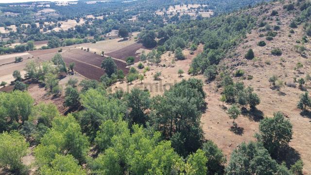 Konya / Doğanhisar / Kemer Mahallesinde 1.877 M² Hisse Tapulu Tarla 4